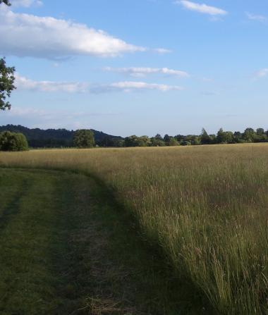 Lafnitztaal Ansicht