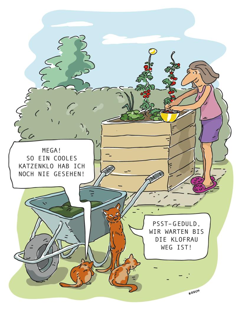 Katzen möchten Hochbeet als Klo nutzen