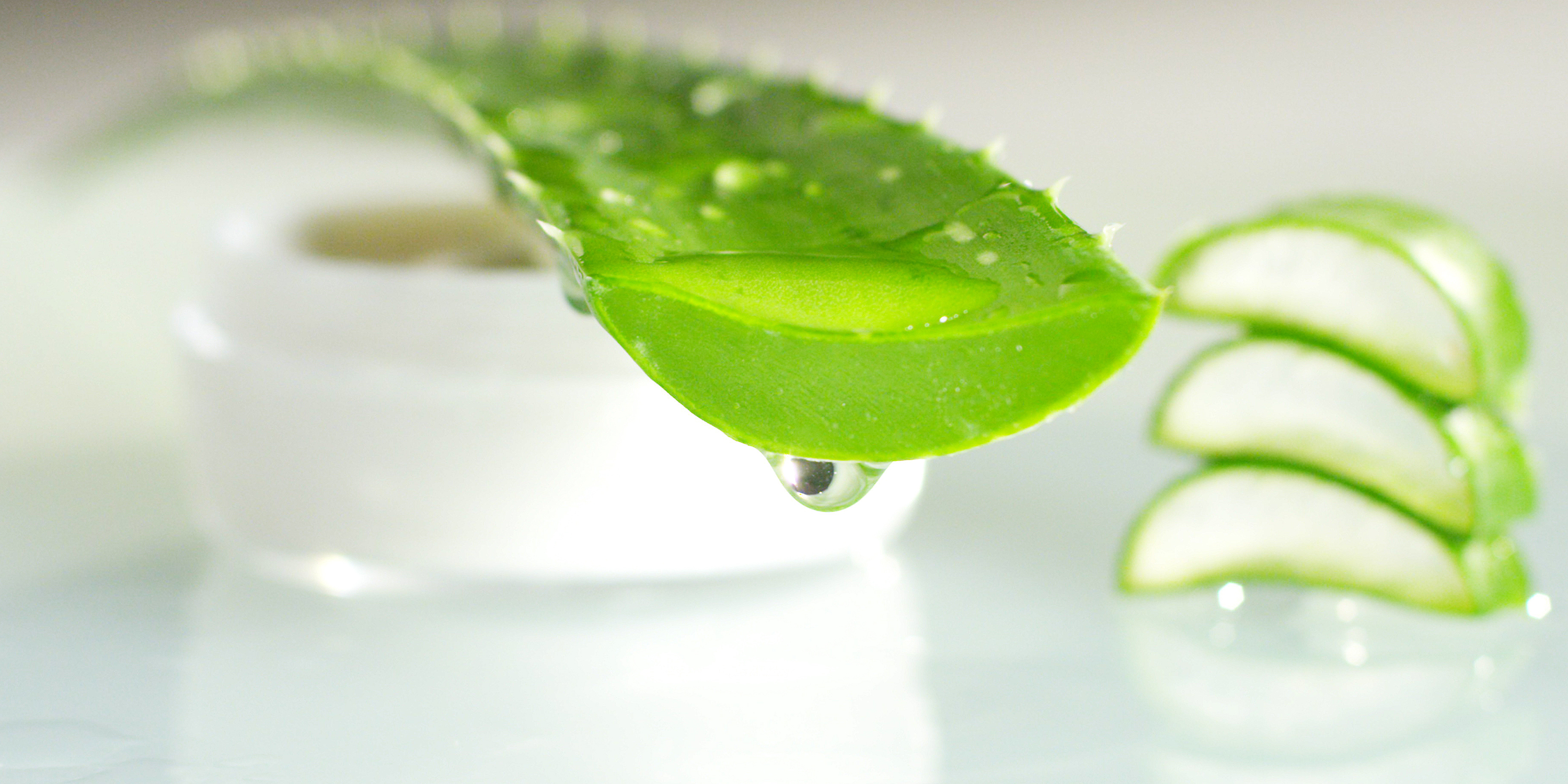 Test: Aloe Vera in Kosmetika - 25 Produkte | KONSUMENT.AT