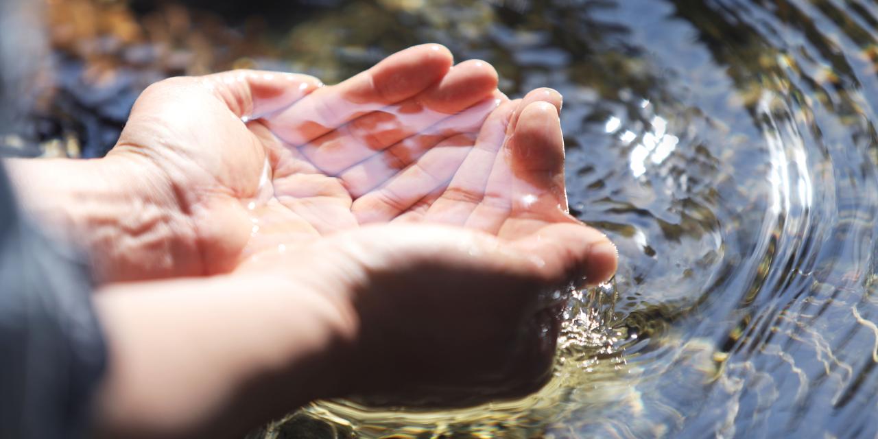 Man sieht die Hände einer Person, die aus einem klaren Bach Wasser schöpft.