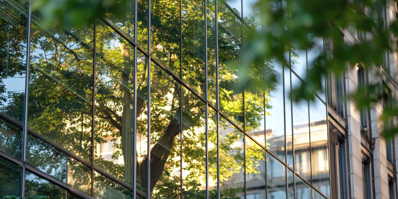 Baum spiegelt sich in einer Glasfassade