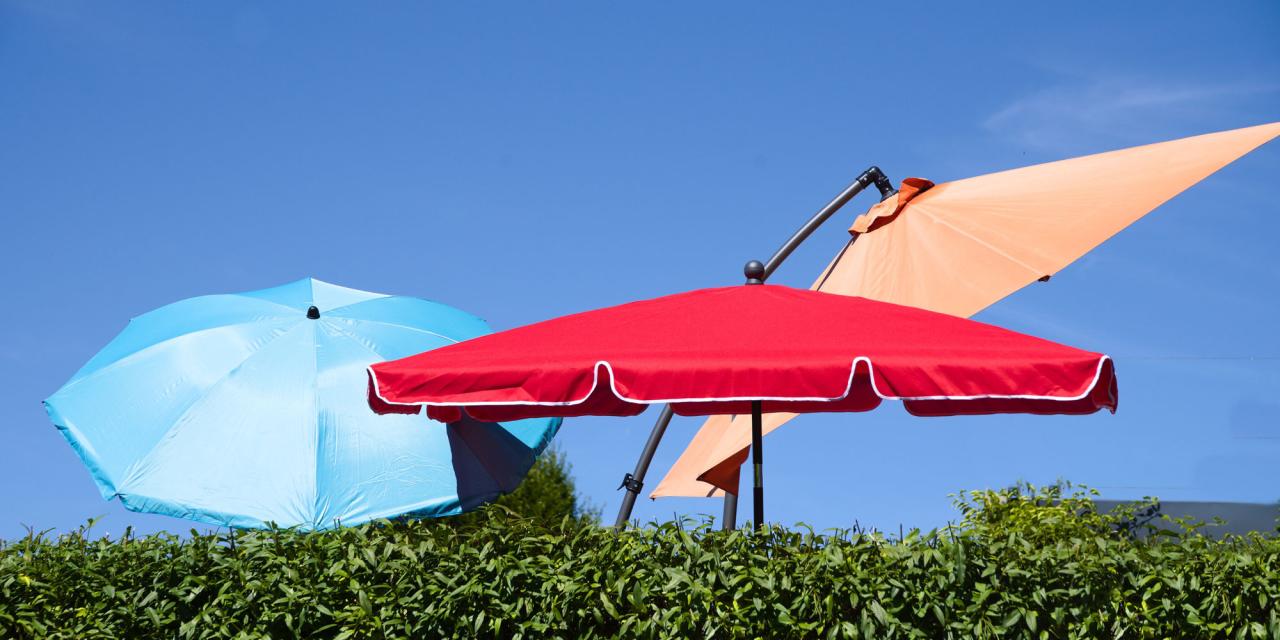 Drei Sonnenschirme – blau, rot und beige – ragen über einer grünen Hecke vor einem klaren blauen Himmel empor.