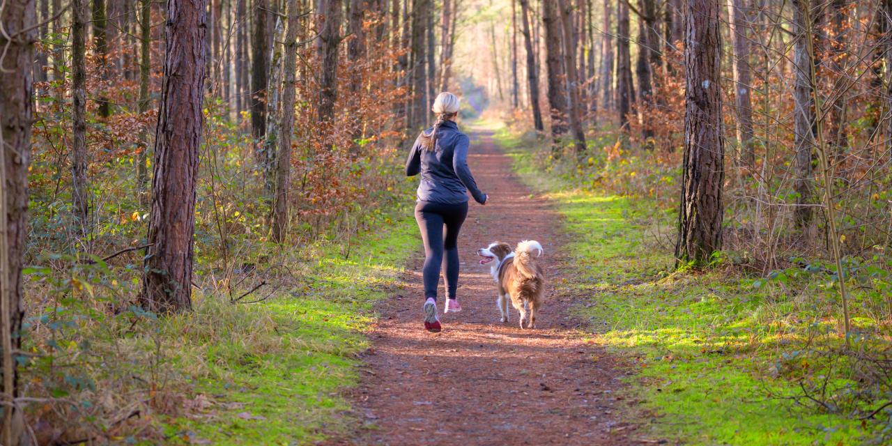 Blonde Frau joggt auf einem Waldweg