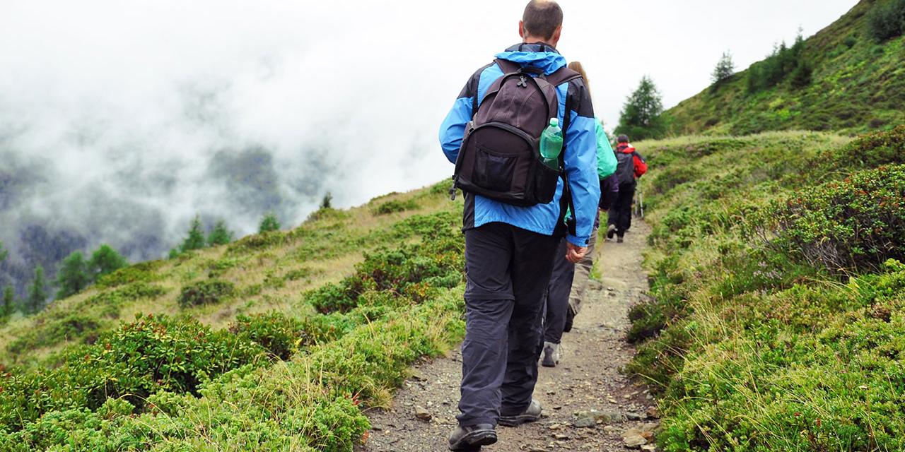 Gruppe von Wanderern marschiert eine Bergweg hinauf, seitlich des Weges Wiese, niedrige Gewächse
