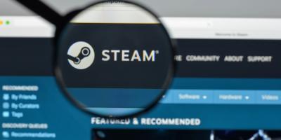 unscharfer Screenshot der Videospielplattform Steam der Firma Valve mit scharfem Lupenabschnitt