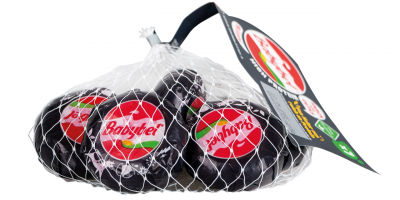 MINI Babybel „HIGH PROTEIN": mehrere kleine Käse einzeln verpackt in schwarzer Umhüllung, darüber ein Verpackungsnetz