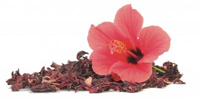 Hibiskusblüten frisch und getrocknet weißer Hintergrund