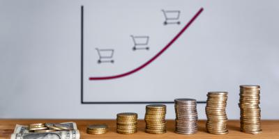 Subjektive Inflation - Verbraucher-Preisindex vs. Lebensrealität