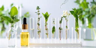 Kosmetik von Promis: Clean Beauty mit Schönheitsfehlern