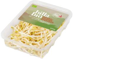 Billa Bio Mungobohnensprossen