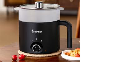 Temu elektrischer Hot Pot