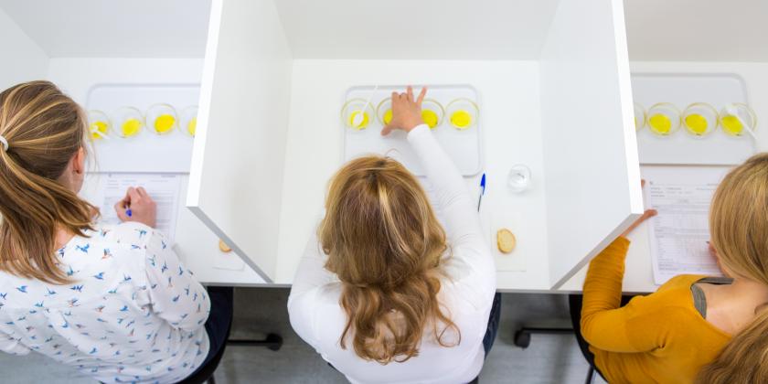 Der Genuss von purem Olivenöl verlangt den Verkoster:innen einiges ab