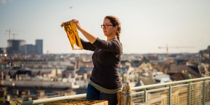 Imkern in der Stadt: Hobbyimkerin am Flachdach