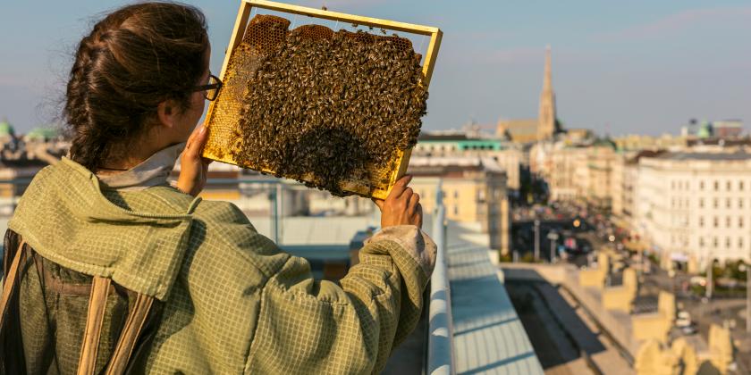 Imkern in der Stadt: Hobbyimkerin am Dach