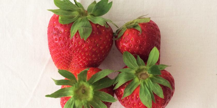 Erdbeeren mit Blättern