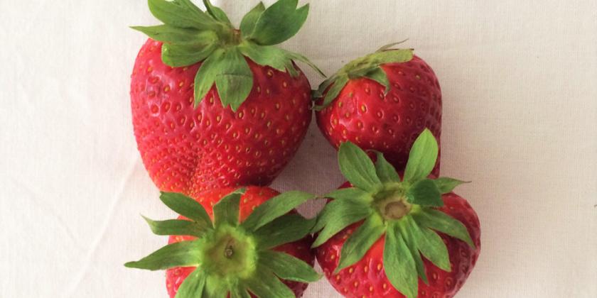 Erdbeeren mit Blättern