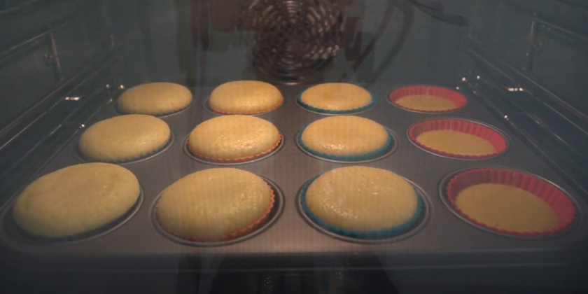 Man kann ihnen förmlich beim Wachsen zuschauen (siehe Video)