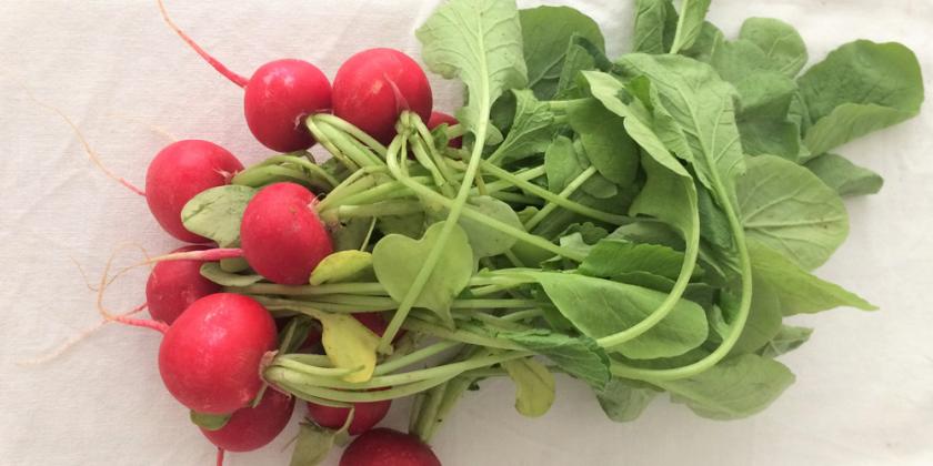Radieschen mit Blättern