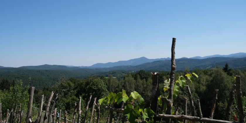 Ausblick vom Hendlberghof