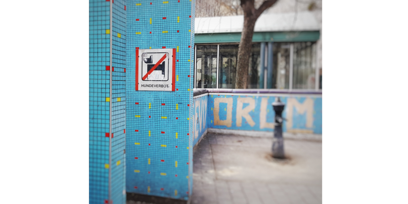 Hellblaue Wand mit einem Hundeverbots-Schild.