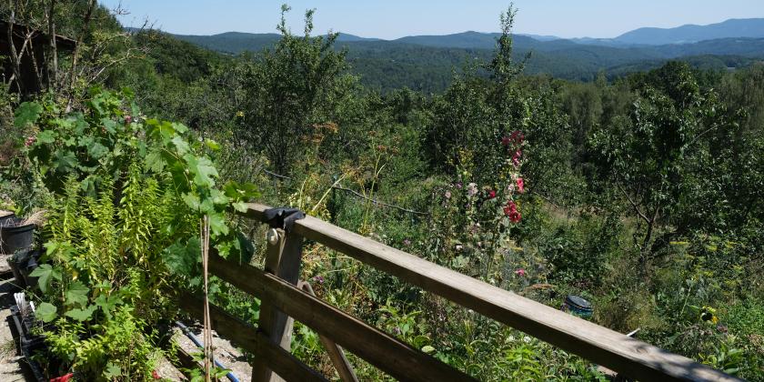 Mischkultur am Hendlberghof