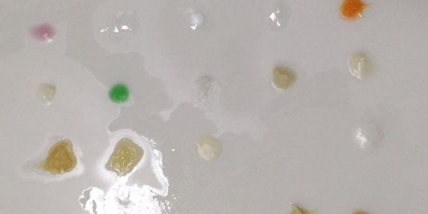 Alle Lotions am Tag 5