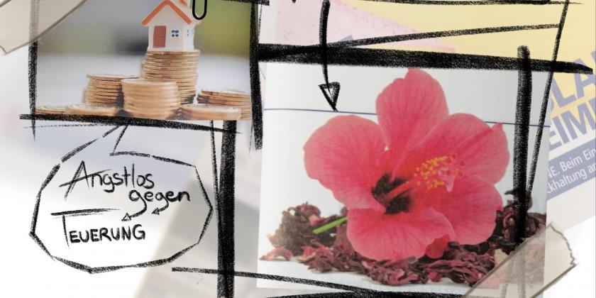 Grafik aus Fotos mit kurzen Infos