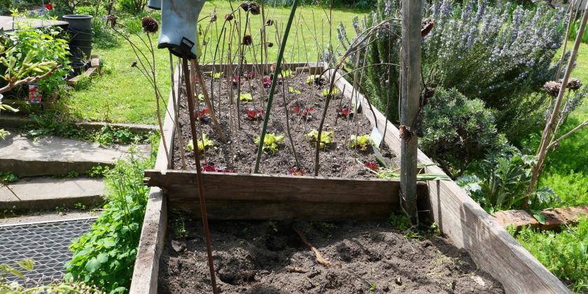 Hochbeet im Frühjahr teilweise leer
