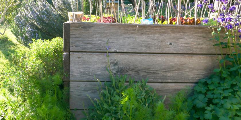 B Hochbeet im Sonnenschein mit Zuzüglern Tacha 2560px Hochbeet im Sonnenschein