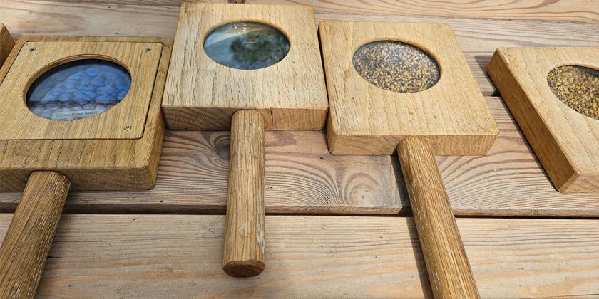 Lupen für Betrachtung von Pflanzensamen