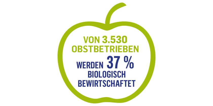 Von 3530 Obstbetrieben in Österreich werden 37 % biologisch bewirtschaftet.