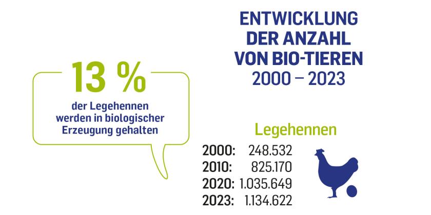 Im Jahr 2000 gab es 248532 Bio-Legehennen in Österreich. 2023 waren es 1134622. 13 % der Legehennen werden in biologischer Erzeugung gehalten (2023)