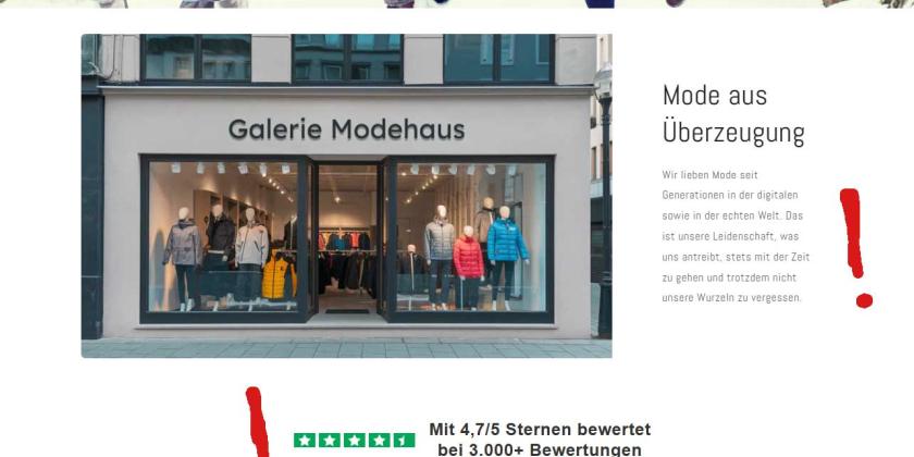 Bidlschirmfoto eines Dropshipping Webshops mit roten Rufzeichen bei den Erkennungsmerkmalen