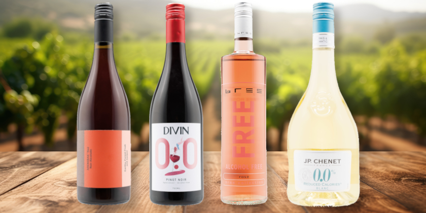 Entalkoholisierter Wein Test - Erstes Gruppenbild unserer Testkandidaten in der Kategorie Sonstiges