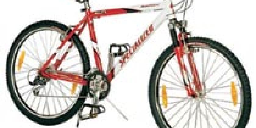 Rad Mountainbike Rad Mountainbike