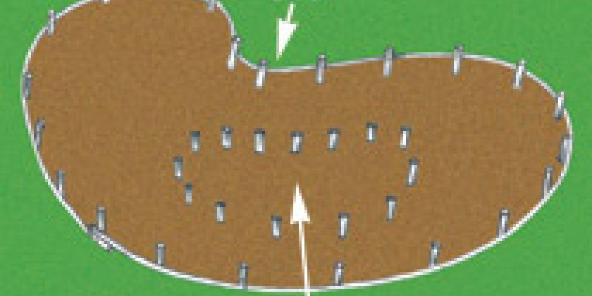 Gartenteich 1 Gartenteich 1