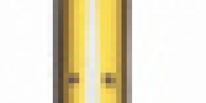 Fischer Carver-Ski 2