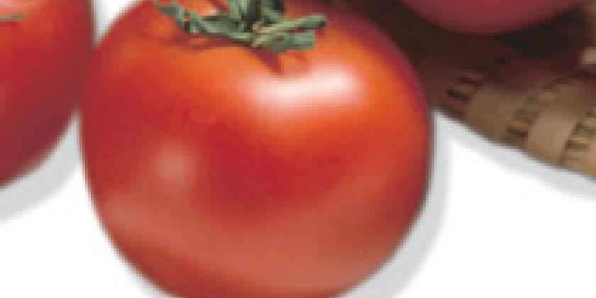 Tomate 3