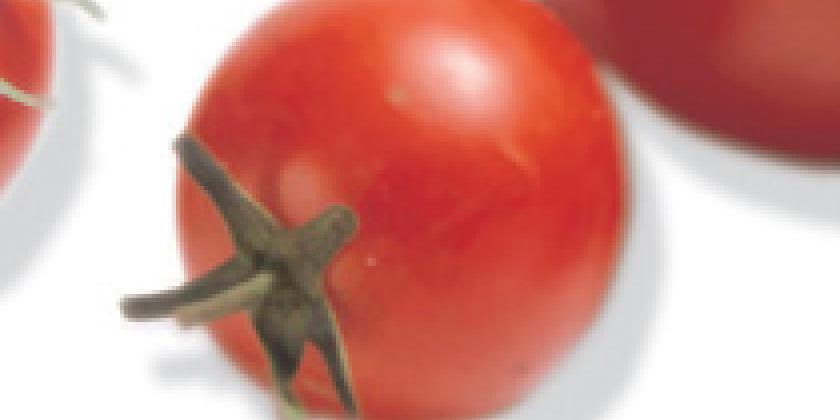 Tomate 4