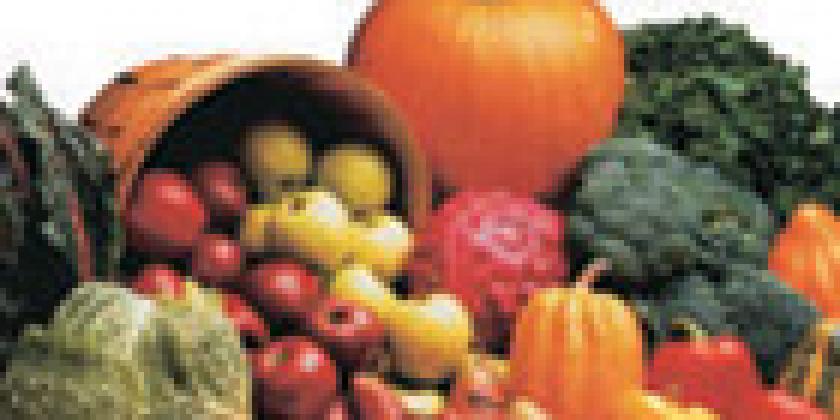 1-2-3 Success Diät 4a