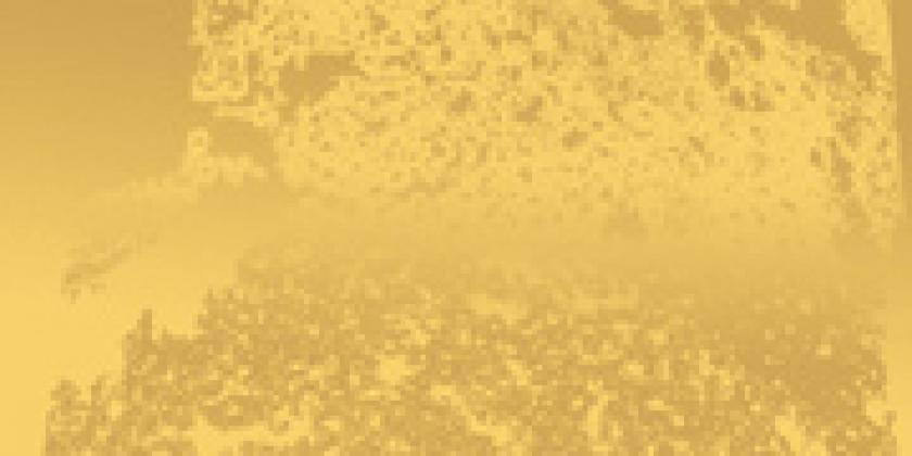 Metalltapeten Metalltapeten