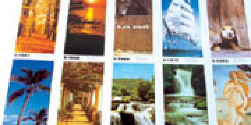 Bildtapeten Bildtapeten