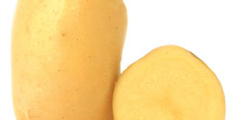 Ditta_ Kartoffel_ Erdäfel_ Essen_ Gemüse Ditta, Kartoffel, Erdäfel, Essen, Gemüse