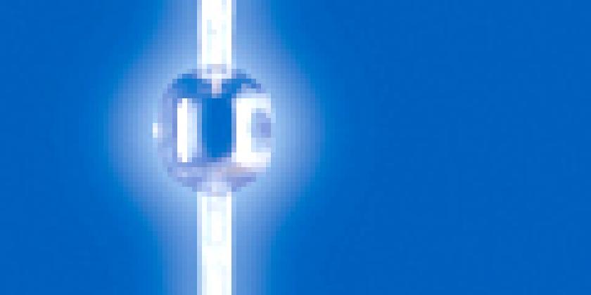 Stablampe Halogenlampen Beleuchtung