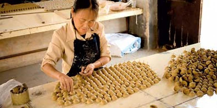 B02 Feuerwerk-Herstellung Feuerwerk-Herstellung