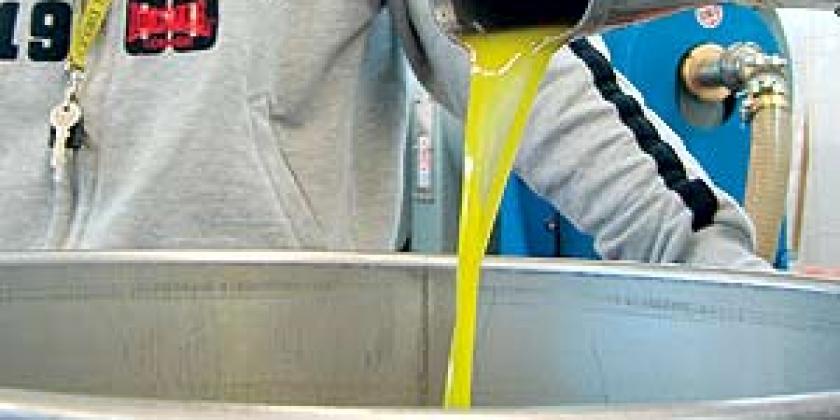 Olivenernte Trennung 300px