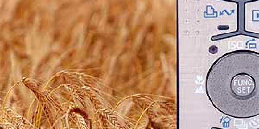 Digitalkameras Einsteiger