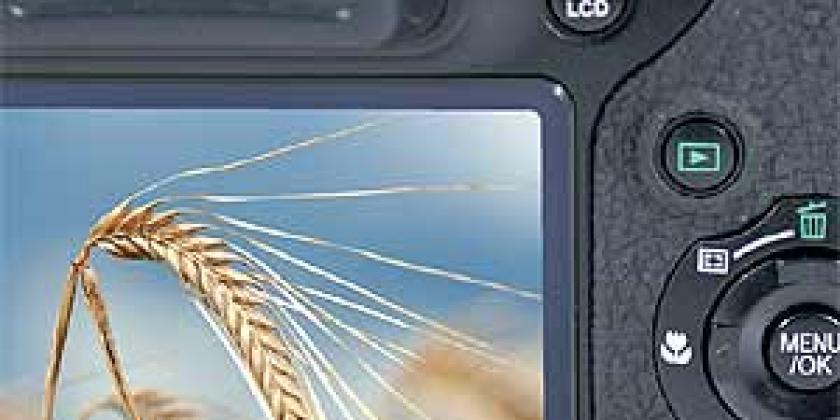 Digitalkameras Fortgeschrittene