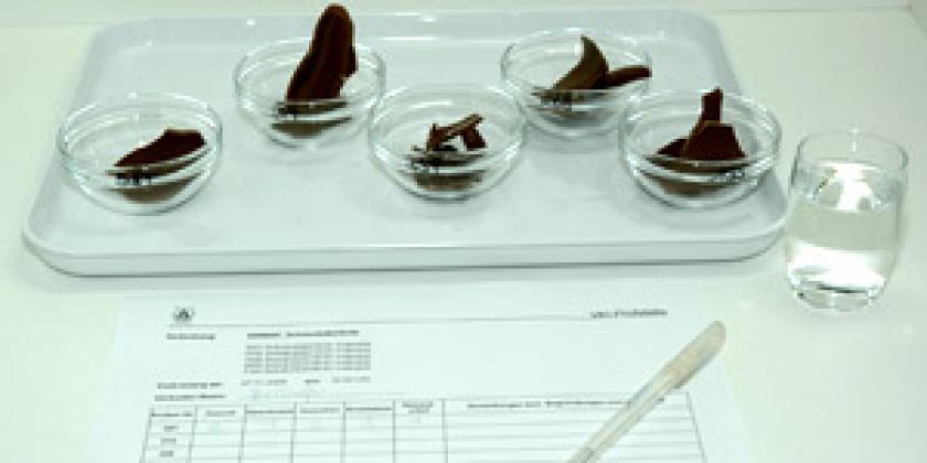 Schokoladenikolos Test Bildergalerie 5