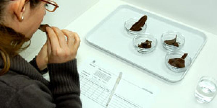 Schokoladenikolos Test Bildergalerie 6